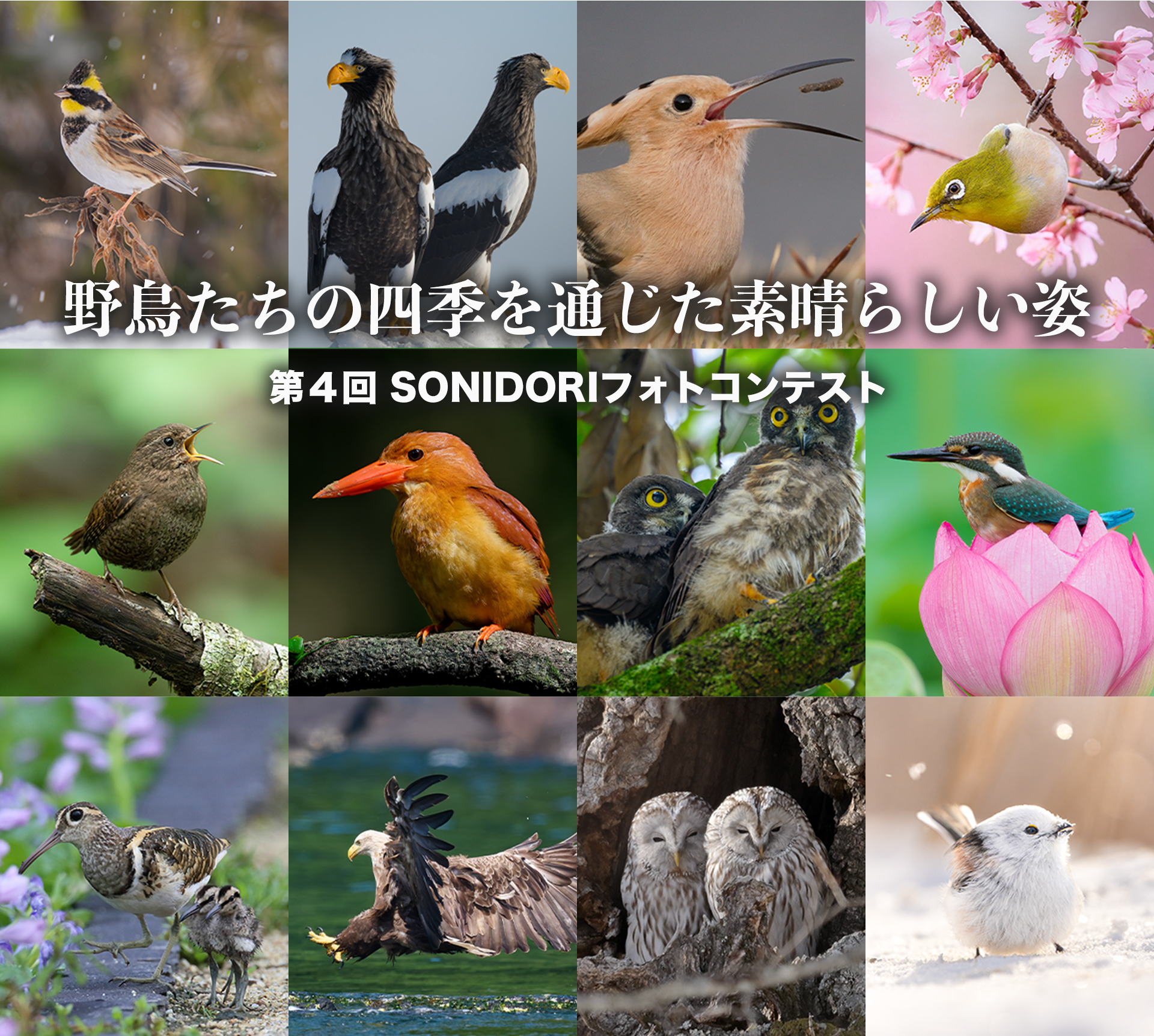 b15f9c5da82c78dff6d0635eb5f8ec